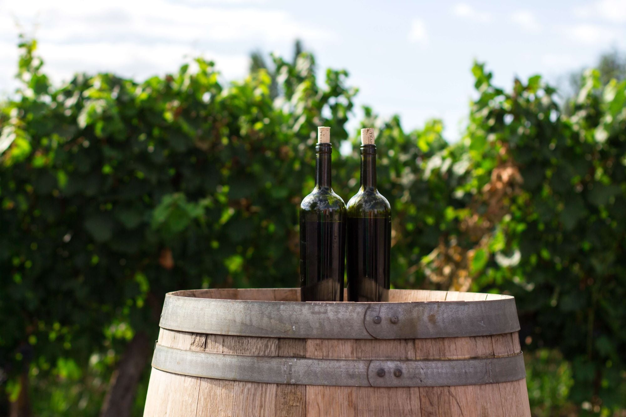 Five Wineries to Visit in Queensland