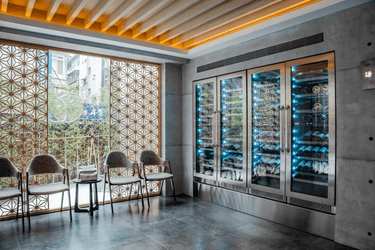 Professional Wine Fridges For Commercial Space