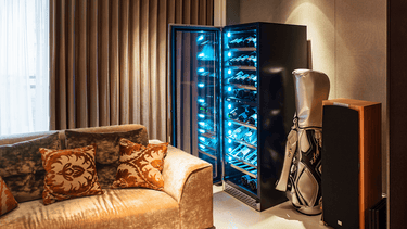 DV-568DSD Freestanding Next To Golf Stand Bag in Private Home