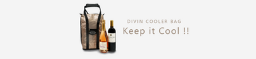 DV-B02GB Glorious Gold & Unique Black Wine Cooler Bag