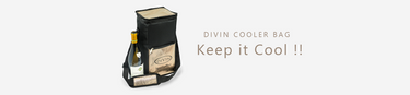 DV-B04GB Gold & Black Wine Cooler Bag Keep Wine Cool
